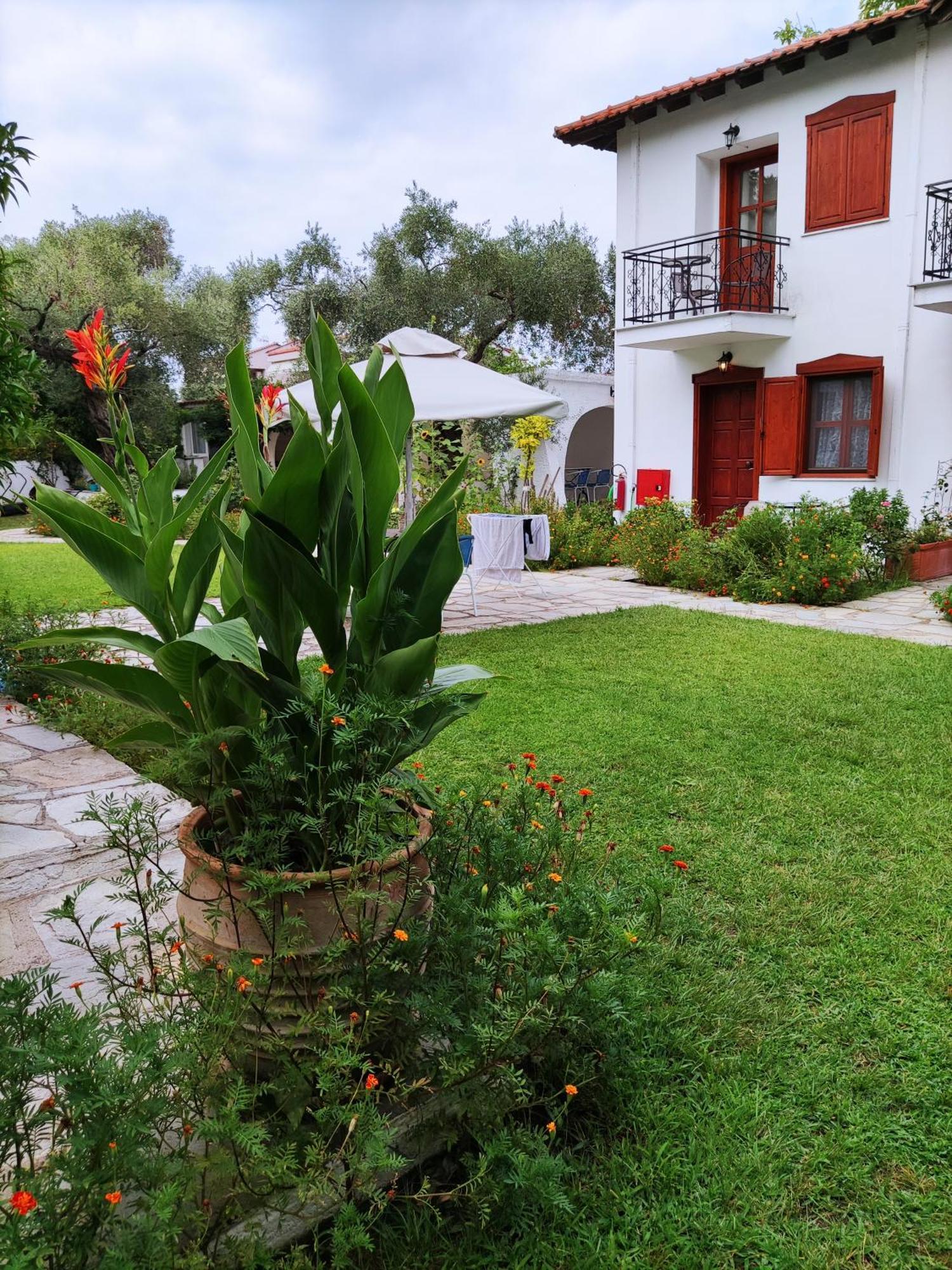 Villa Molos Thassos Exteriör bild